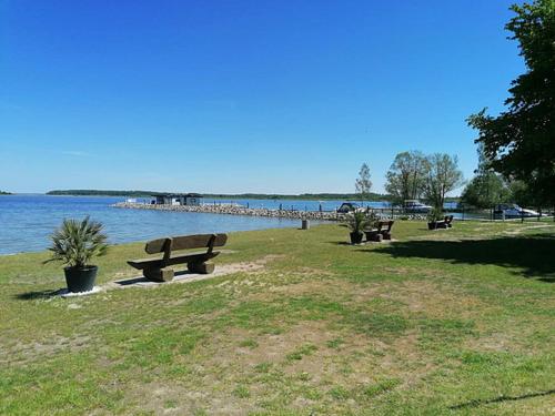 a row of park benches sitting next to a body of water at Müritz-Strandhotel in Röbel