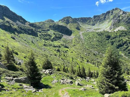 a view of a mountain with trees and grass at La Tour en Belledonne in Theys