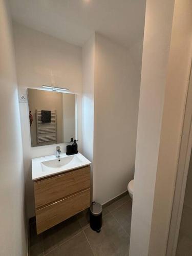 une salle de bain avec un lavabo et un miroir dans l'établissement Centre histoire AAA, à Béziers