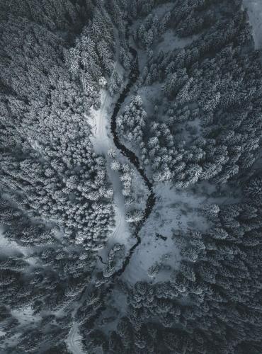 アパートメントの近くで見られる自然の景観