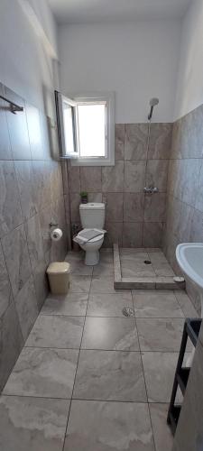 a bathroom with a toilet and a sink at Kalliopis Rooms in Katapola