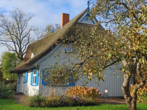 Casa azul y blanca con techo de paja en Captain House South Cats 8, en Wieck