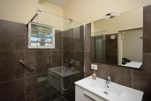 a bathroom with a sink and a shower and a mirror at All Seasons Apartments in Kralendijk