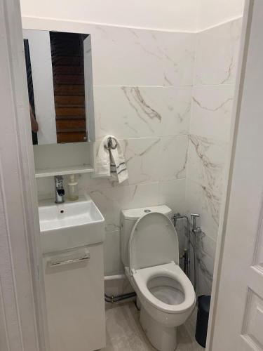 une salle de bain blanche avec des toilettes et un lavabo dans l'établissement appartement fonctionnel & central 15mn de Paris, à Villeneuve-Saint-Georges