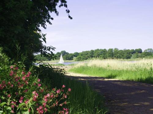 a field of grass with a sail boat in the water at Luxury holiday house "Schleibrise" in Hestoft