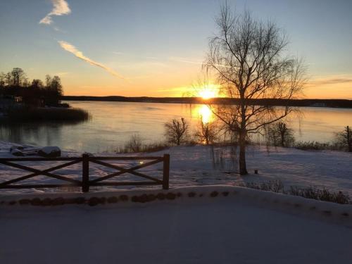 a sunset over a body of water with a tree at Modern apartment in Vimmerby in Vimmerby