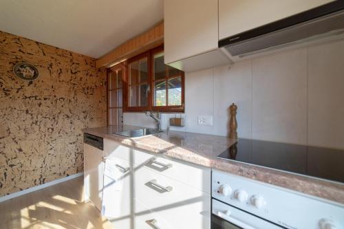 Kuchyň nebo kuchyňský kout v ubytování Tanzhaus