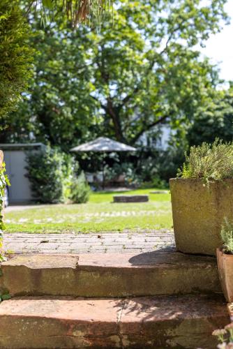 a garden with a potted plant on the steps at Villa Benz Hotel garni in Schwetzingen