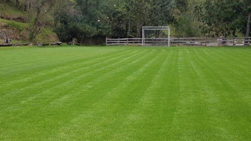 an empty green field with a soccer goal at Hostería el Socavón in Guaranda