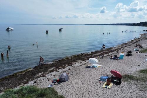 a group of people on a beach near the water at Smuk lejlighed med sundkig lige ved stranden in Snekkersten