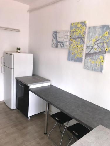 a kitchen with a table and a refrigerator at CENTRAL ROOMS WITH GREAT VIEW shared bathroom no parking in Skopje