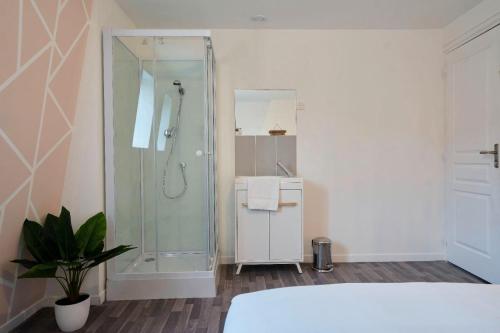 a bathroom with a shower and a sink at Maison 4 chambres et jacuzzi pour 8 personnes in Roubaix