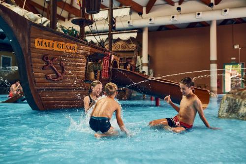 a group of people playing in a water park at Hotel Terme - Terme Čatež in Čatež ob Savi