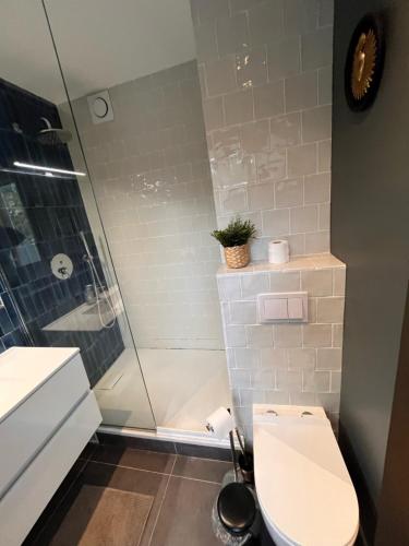 une salle de bain avec toilettes et douche dans l'établissement Saint Jacques Versailles, à Paris