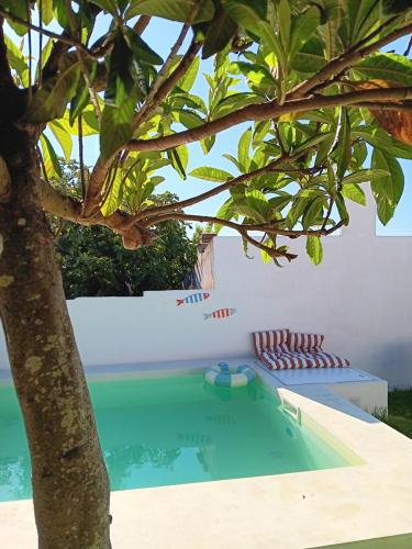 a swimming pool in the backyard of a house with a tree at Tribo da Praia in São Luis