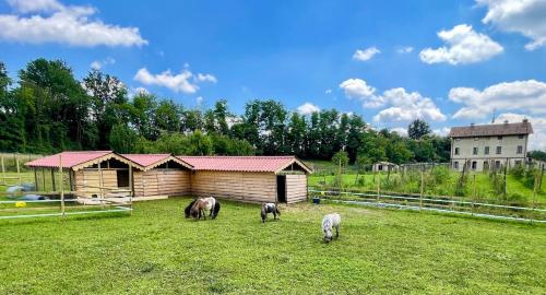 three horses grazing in a field next to a cabin at Agriturismo Brusignone in Besana in Brianza