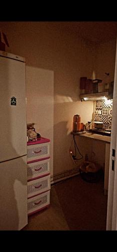 une cuisine avec un réfrigérateur blanc et un comptoir dans l'établissement Barut, à Garges-lès-Gonesse