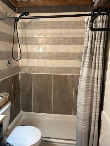 a bathroom with a toilet and a shower curtain at River View, Red River Carriage House in Shreveport