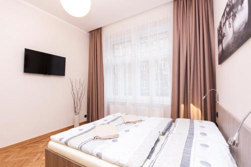 Postel nebo postele na pokoji v ubytování Manesova Astra Apartment