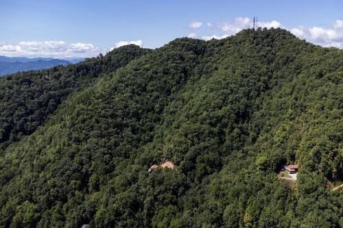 an aerial view of a mountain covered in trees at Goldies Hideaway in Bryson City