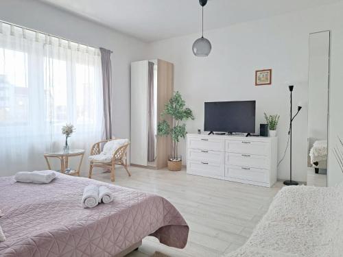Beautiful Apartment in Center of Zagreb