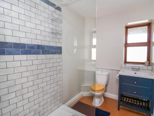 a bathroom with a toilet and a blue cabinet at Oak Apple Cottage in Presteigne