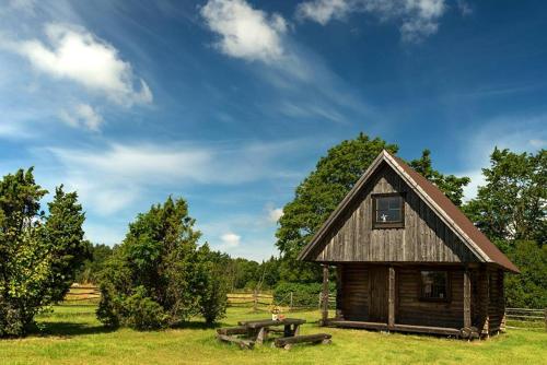 a log cabin with a picnic table in a field at Veskikivi Holiday Home in Mäebe
