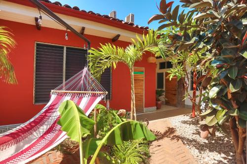 Κήπος έξω από το Hostel De Boca en Boca