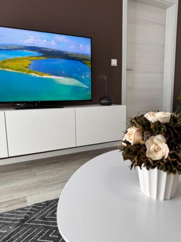 TV a/nebo společenská místnost v ubytování Apartment Künzelsau II
