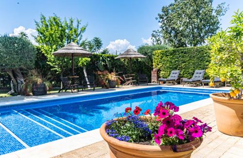 Gambar di galeri bagi B&B Casa Adelante Sevilla di Espartinas