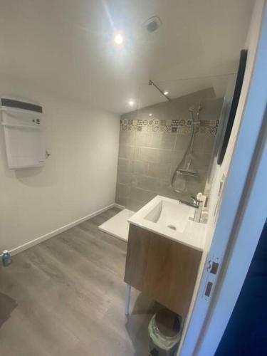une petite salle de bain avec un lavabo et une douche dans l'établissement Charmante Maison entre Castres & Mazamet, à Aiguefonde