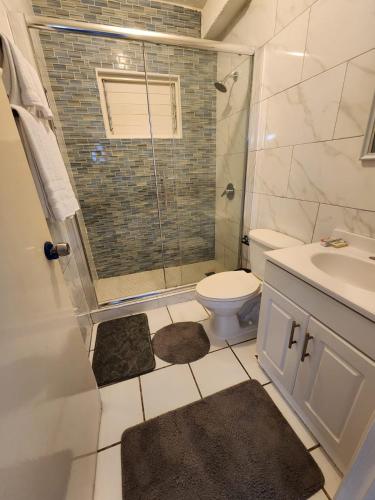 a bathroom with a shower and a toilet and a sink at Chrisanns Beach Resort, Apt 21 in St Mary