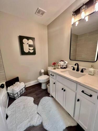 a bathroom with a sink and a toilet and a mirror at Charming Gainesville Townhome 2 in Gainesville