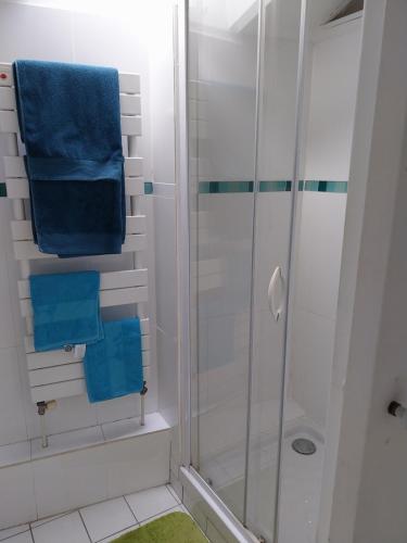a bathroom with a shower with blue towels at Halte-jardin du hâvre in Précy-sur-Oise