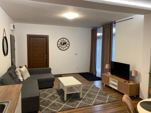 Una televisión o centro de entretenimiento en Apartman Šumarak Divčibare 2
