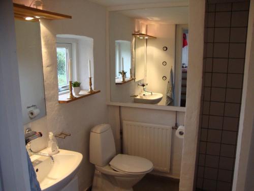 a bathroom with a toilet and a sink and mirror at Klosterpensionen Annex in Viborg