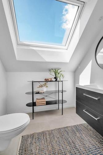 a bathroom with a toilet and a skylight at Paradis på Sørlandet 3 in Kristiansand