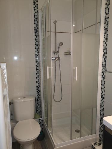une salle de bain avec toilettes et douche en verre dans l'établissement Appartement cosy 6-8pers-2ch-2sdb-Terrasse-Superdevoluy, à Superdevoluy