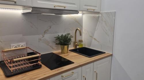 a kitchen with a sink and a counter top at APARTAMENT AMORE-blisko morza in Międzyzdroje