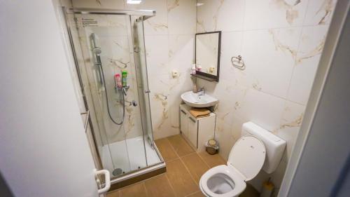 a bathroom with a shower and a toilet and a sink at GLOW Apartment in Magdeburg