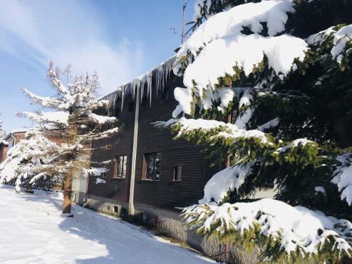 dom z pokrytymi śniegiem drzewami przed nim w obiekcie Chalet Gamma w mieście Jáchymov