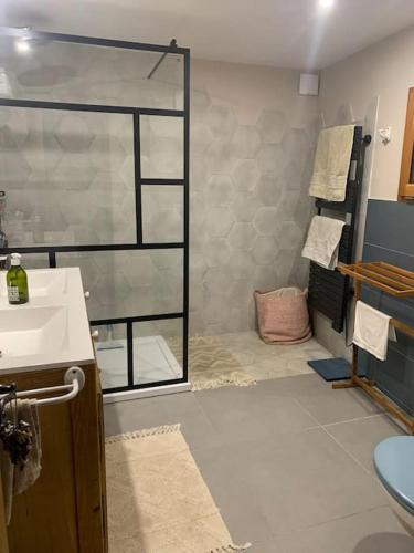 La salle de bains est pourvue d'un lavabo et d'une porte de douche en verre. dans l'établissement Notre maison de famille, la maison de shaoni, à Saint-Romans