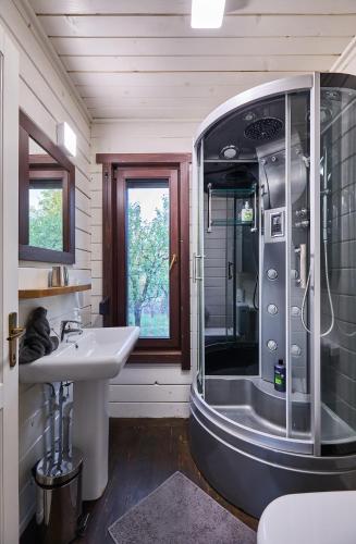 a bathroom with a shower and a sink at Dream House - Buzau Valley in Vipereşti