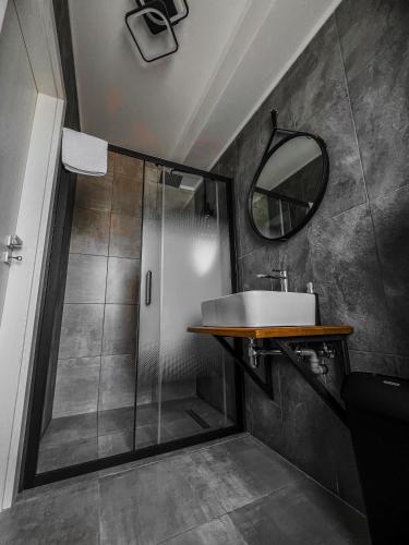 a bathroom with a sink and a shower with a mirror at Pensiunea 82 in Nădlac