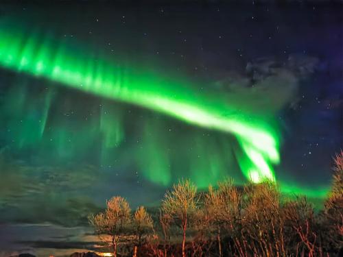 an image of the aurora borealis in the sky at Northern Lights Apt Midtgaard, Kvaløya Tromsø Modern 2BR, Free Parking in Tromsø