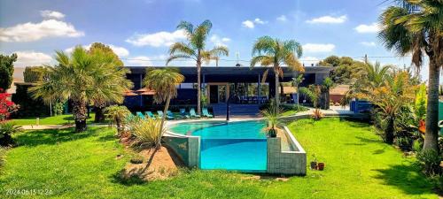 a swimming pool in front of a house with palm trees at The Blue Diamond Villa-25min to Valencia in Turís