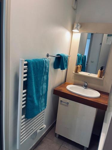 une petite salle de bain avec un lavabo et un miroir dans l'établissement Fabuleux appartement avec piscine, à Roquebrune-sur Argens