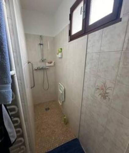 a small bathroom with a shower and a window at Grande Maison proche ST Micro in Crolles