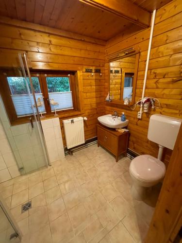 a bathroom with a toilet and a sink at Ferienhäuser an den Orgelpfeifen Scheibenberg in Scheibenberg