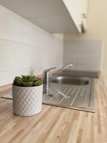a plant in a pot on the floor in a kitchen at Apartment Roky in Povljana